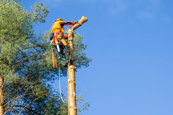 Kiipeilykaadot vaikeissa kohteissa